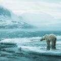 Photos du réchauffement climatique : découvrir, comprendre et agir